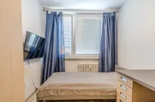 fotografie 12